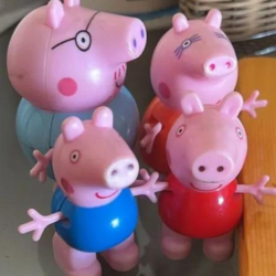Piggy Printing | Meditek Printing Solutions